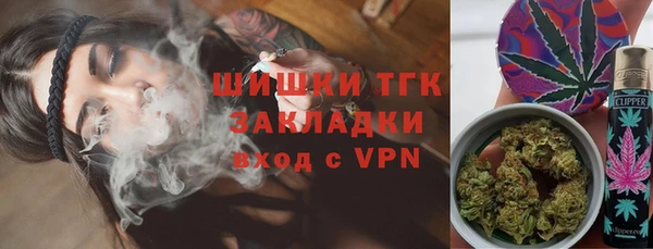 амф Алексин