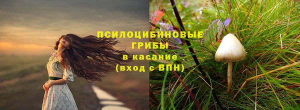 дурь Алексеевка