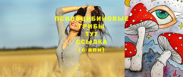 не бодяженный Алзамай