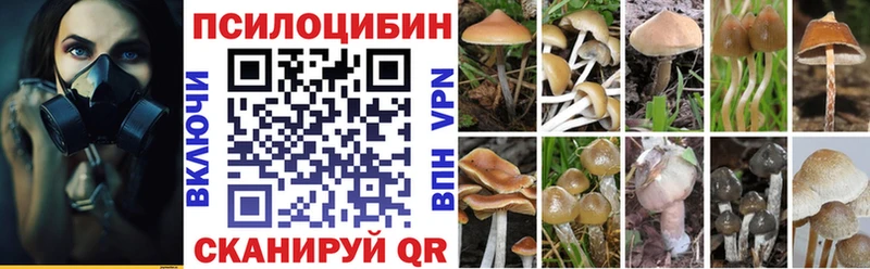 ОМГ ОМГ сайт  Красноуральск  Галлюциногенные грибы мицелий 